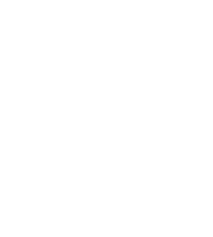 Individual Insurance