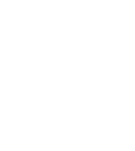 Visitors Insurance